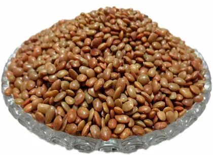 Horse Gram (kollu)